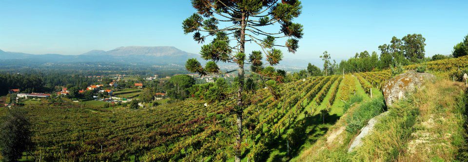 krajina regionu Vinho Verde